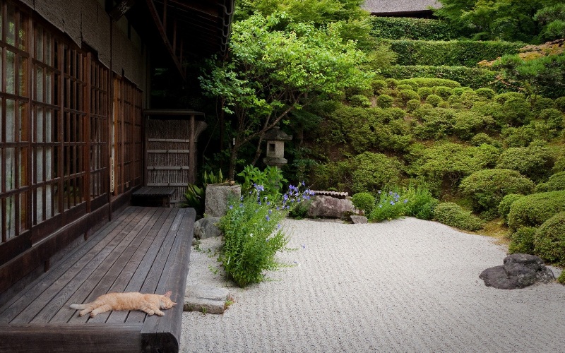 Thiết kế tiểu cảnh sân vườn phong cách Nhật Bản
